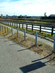 Fototapeta premium 早春の土手の小道のある放水路風景