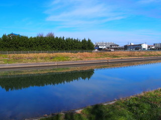 早春の放水路風景