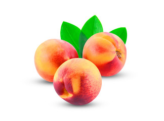 nectarine isolated on white background