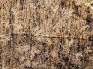 Aerial drone view. Dirt roads on an island in Kiev.