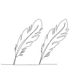 single line drawing of bird feather