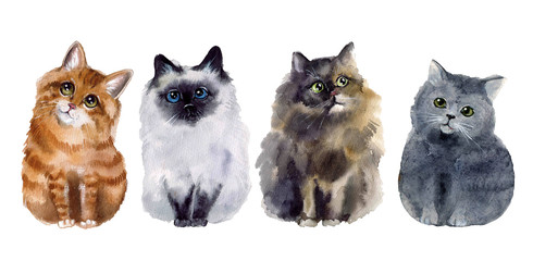 Cute watercolor funnyfluffy cats on the white background