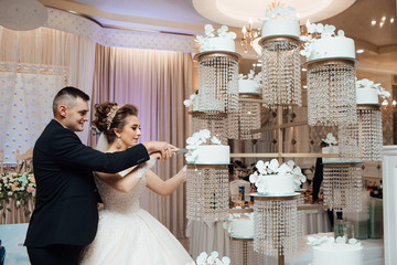 Couple cut a wedding cake. Newlyweds in the hall of the restaurant stand at the table with a wedding cake. The charming brides cutting a wedding cake