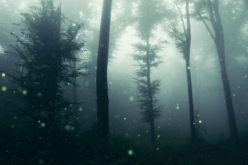fireflies in fantasy forest at night, magical woods landscape