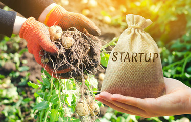 Agriculture startup concept. Increase productivity, efficiency of harvest. Development of...