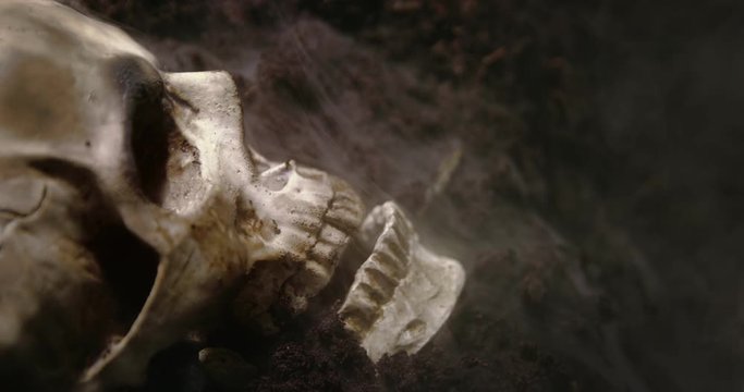 Human skull on the wet soild with smoke flowing