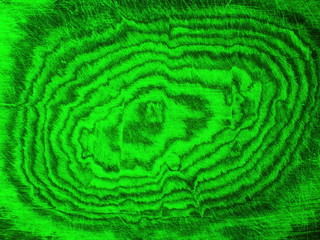 Green wood background, wood texture.