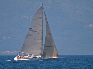 Fototapeta premium sail