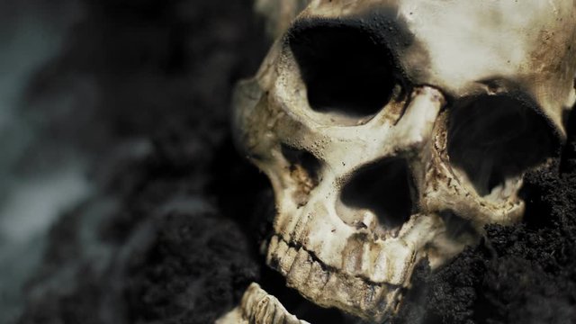 Human skull on the wet soild with smoke flowing