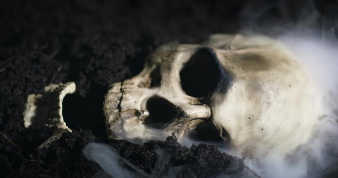 Human skull on the wet soild with smoke flowing