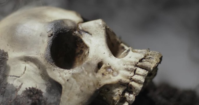 Human skull on the wet soild with smoke flowing