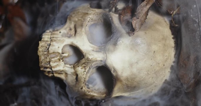 Human skull on the wet soild with smoke flowing
