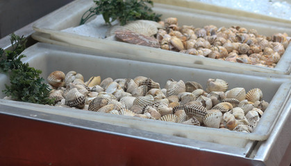 shellfish in tray at the market.
