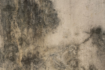 Cement rough wall abstract texture and background.