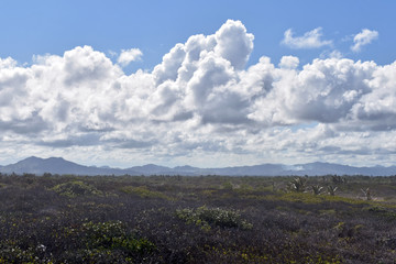clouds over mountains