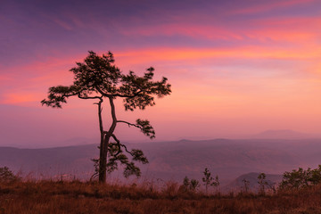 Fototapeta na wymiar Beautiful sunset on the high mountain in Phu-kra-dueng national park Loei province, Thailand.