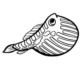 fish inflated with belly graphic outline picture with ornament coloring book children's isolate vector illustration page