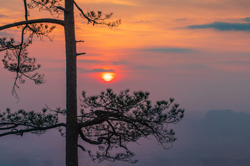 Beautiful sunrise  on the high mountain in Phu-kra-dueng national park Loei province, Thailand.