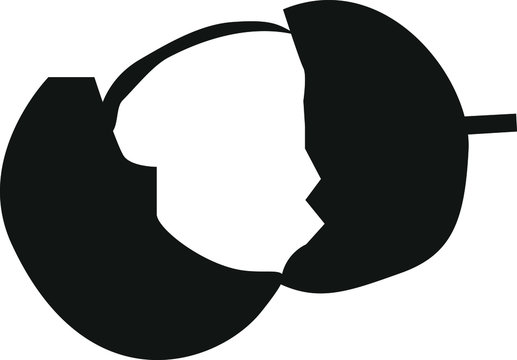 Quenepa fruit icon, vector illustration.