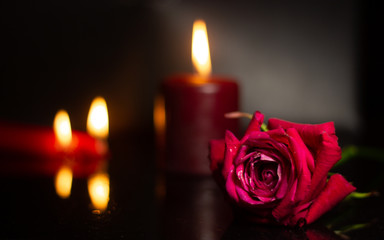 one rose is red close against the background of red candles