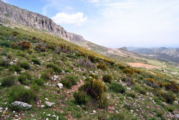 Fototapeta na wymiar sierra paisaje