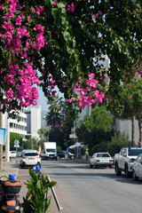 street of Marmaris, Turkey