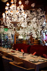 Beautifully served tables for the holiday