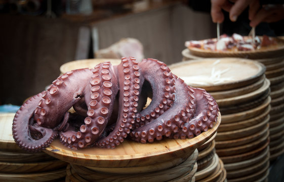 pulpo