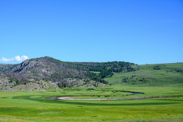 Obraz premium Winding River Through Field in Yellowstone Wilderness