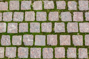 stone road. paving stones. square stones and moss