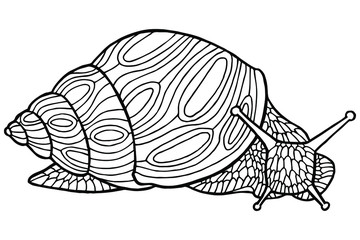 Vector illustration. Hand drawing snail. Coloring page. The original print. Illustration for a children's book. Coloring book for children and adults.