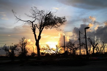 Phenomenal sunset with gnarled trees in the wake of a hurricane in Saipan, Northern Mariana Islands