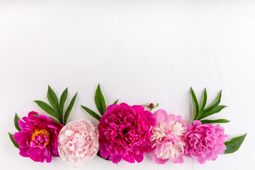 Line composition of arrangement peony flowers on white background. Beautiful  garland of  pink...