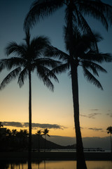 Fototapeta na wymiar Palm Trees Silhouetted at Sunrise With Lagoon and Diamond Head Beaches in the Background