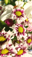 Obraz premium long photo flowers in a bouquet 