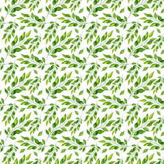 Birch leaves seamless pattern