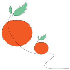 Orange fruit background vector illustration