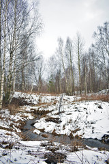 winter landscape with river and trees in winter