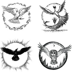 Totem birds. Owl, crow, pigeon, peacock. Illustration, sketch