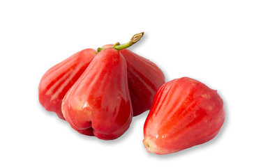 Rose Apple Isolated on a white background.