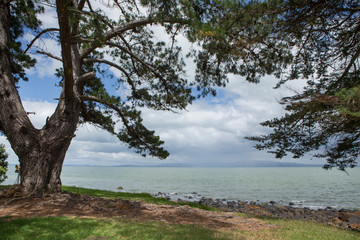 Fototapeta na wymiar Coromendel coast New Zealand