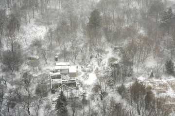 Snow blizzard over a ruined old house in the forest