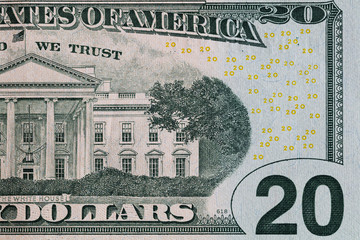 Closeup of back side of 20 dollar banknote