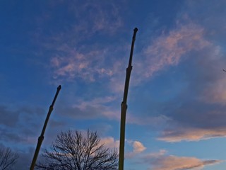Silhouette of a tree against the backdrop of sunset - Lilleaker 