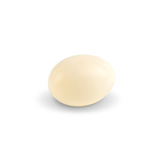 One egg of dove birds in brown dry grass nest isolated on white background. with clipping paths.
