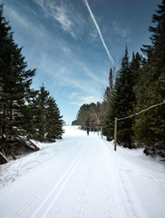 Nordic skiing up a hill - 324272060