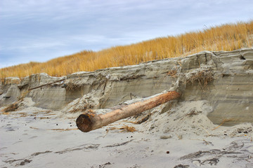 Protecting sand dunes from errosion. Storm dune destruction