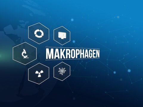 Makrophagen