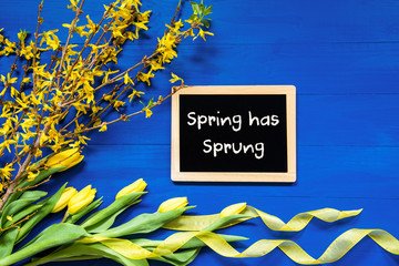 Blackboard With English Text Spring Has Sprung. Yellow Spring Flowers Like Tulip And Branches....