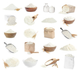 Set of organic flour on white background